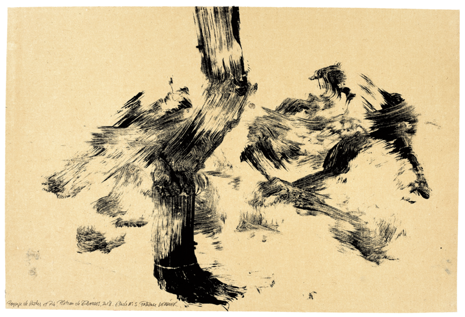 Paysage de roche et de pins plateau de Bibemus, étude n°03