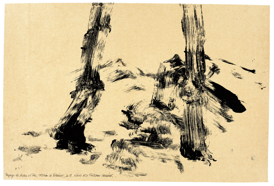 Paysage de roche et de pins, plateau de Bibémus, étude n07
