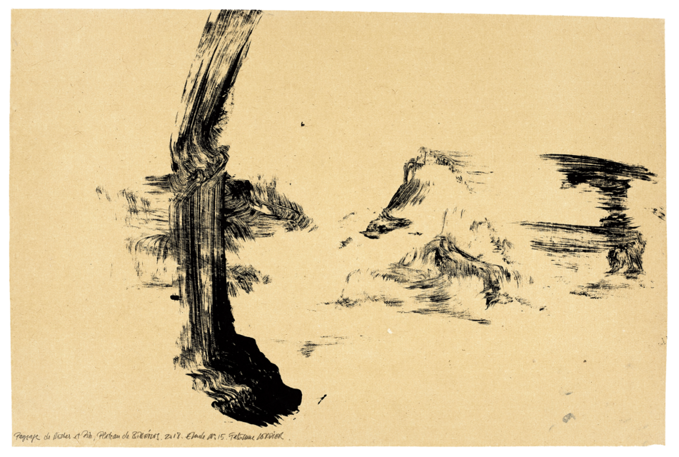 Paysage de roche et de pins plateau de Bibemus, étude n°15